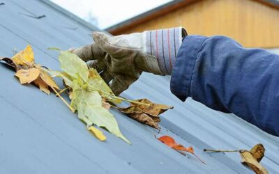Spring Maintenance Tips For Your Metal Roof